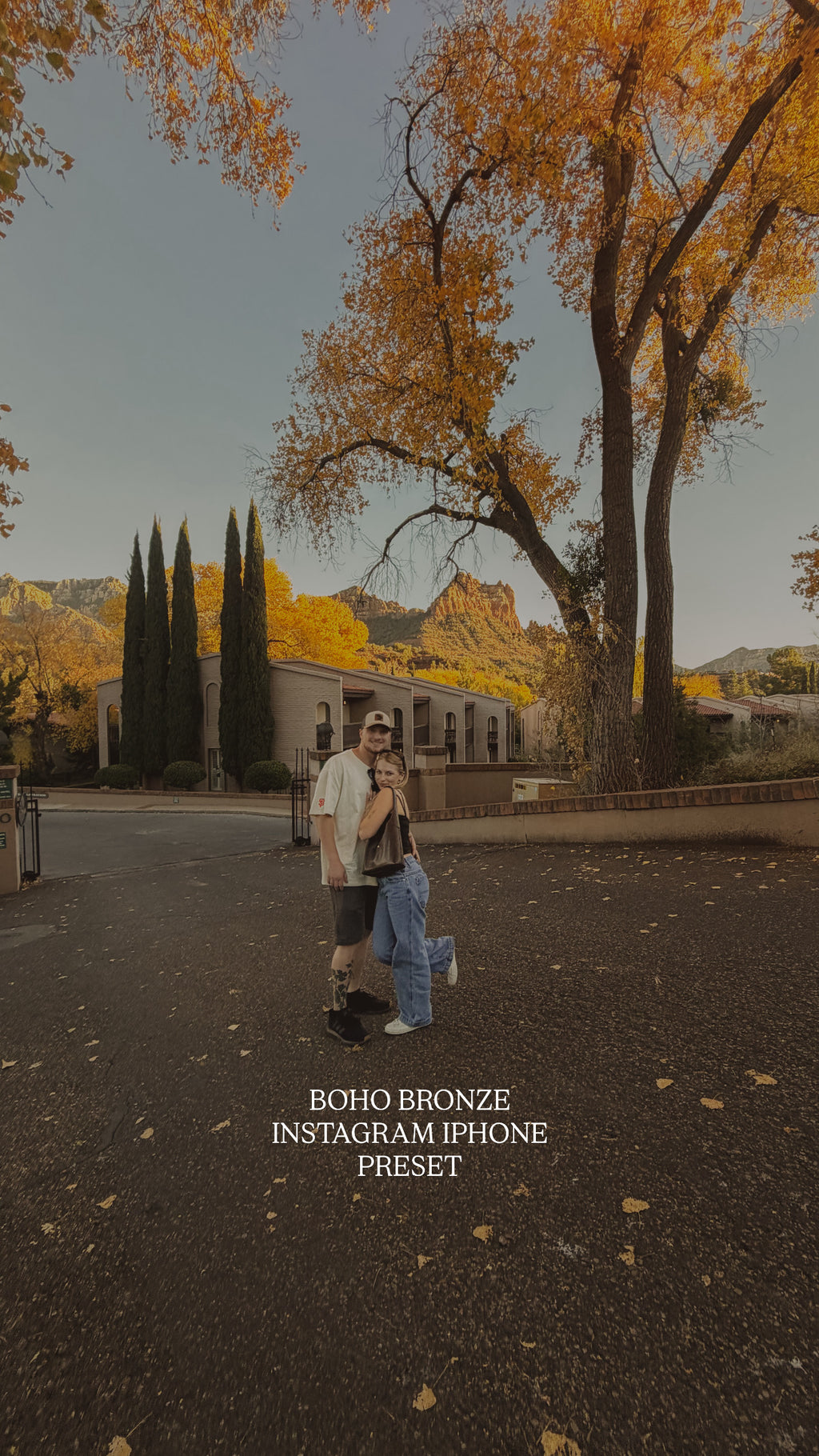 IPHONE PRESETS WILDSOLWORKSHOP