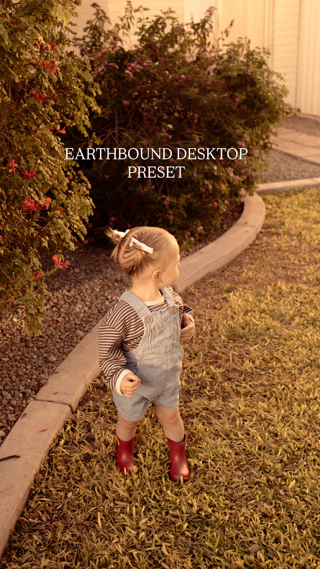 WILDSOLWORKSHOP DESKTOP PRESETS