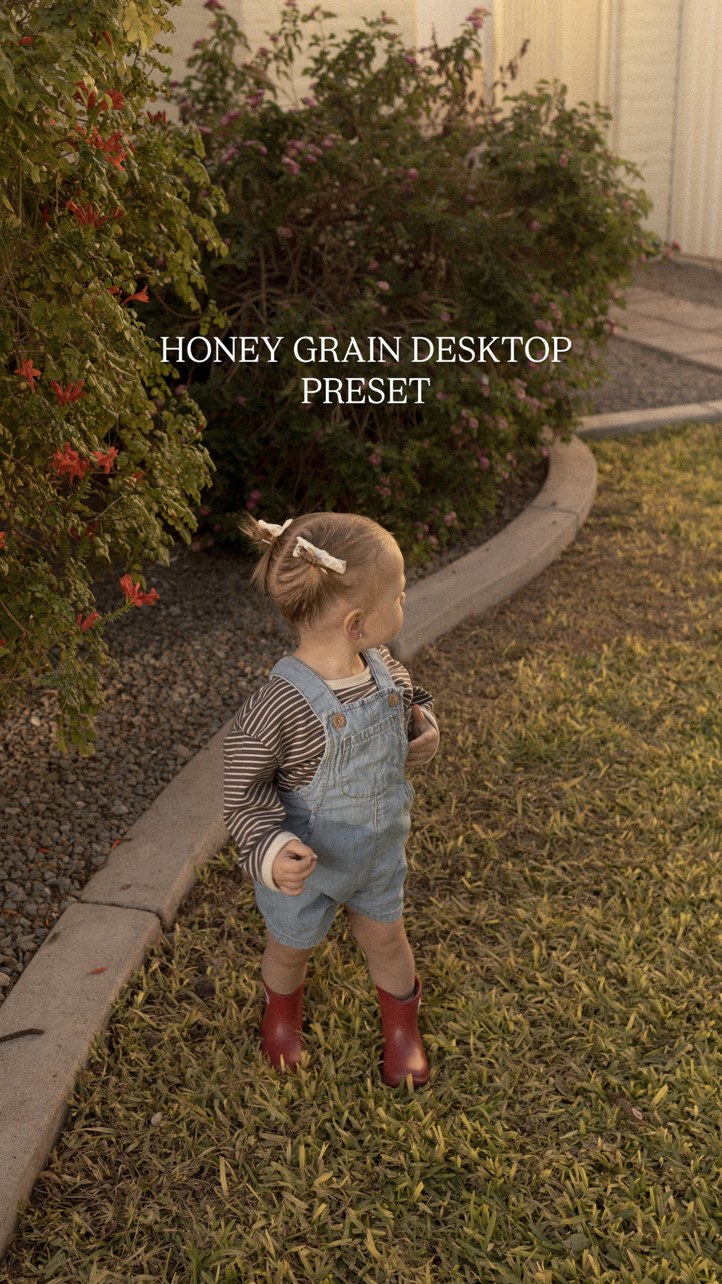 WILDSOLWORKSHOP DESKTOP PRESETS