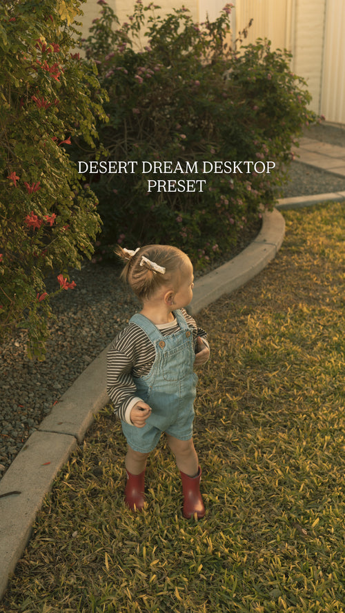 WILDSOLWORKSHOP DESKTOP PRESETS