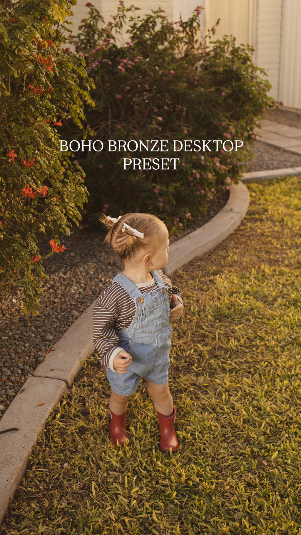 WILDSOLWORKSHOP DESKTOP PRESETS