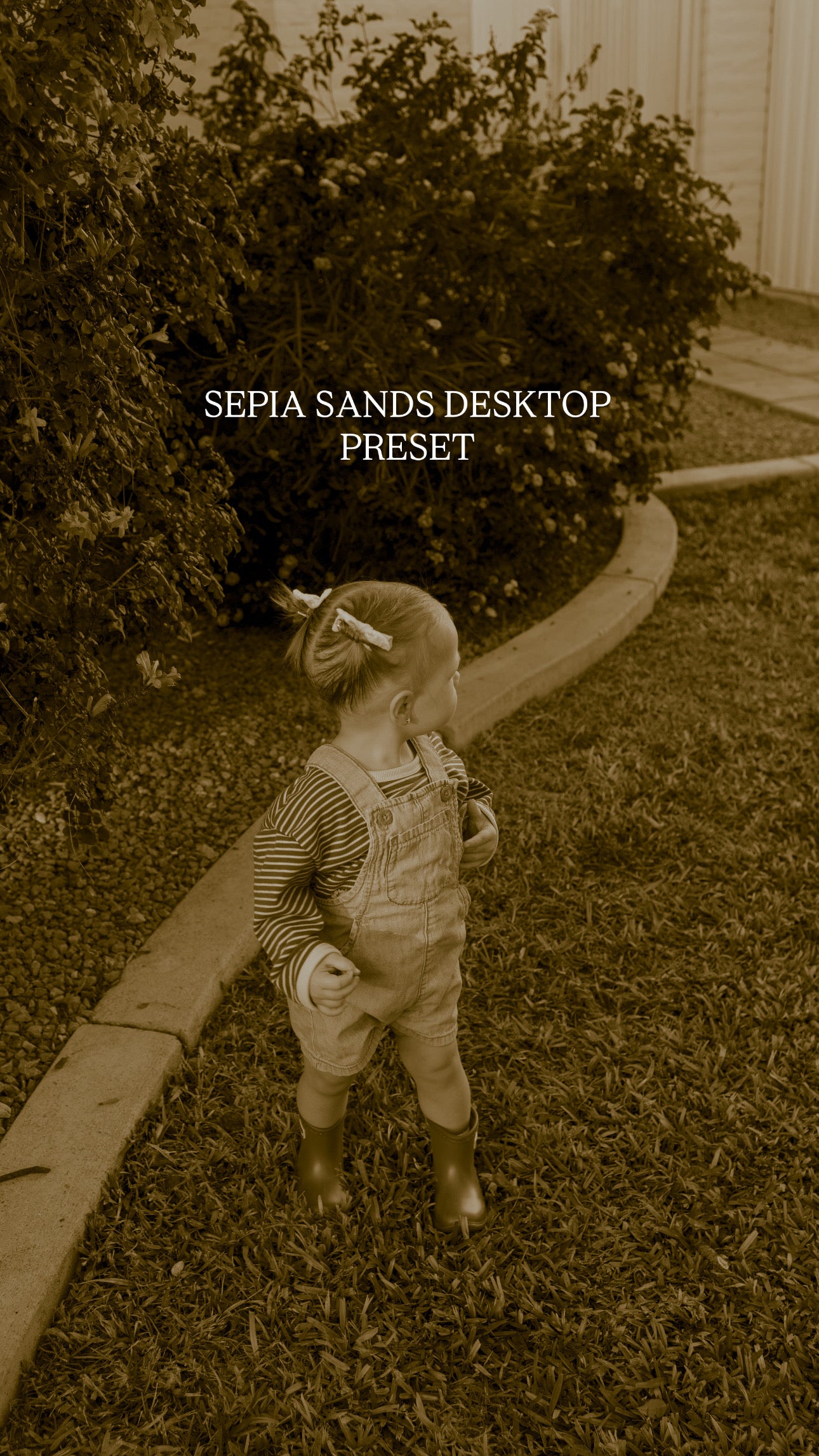 WILDSOLWORKSHOP DESKTOP PRESETS