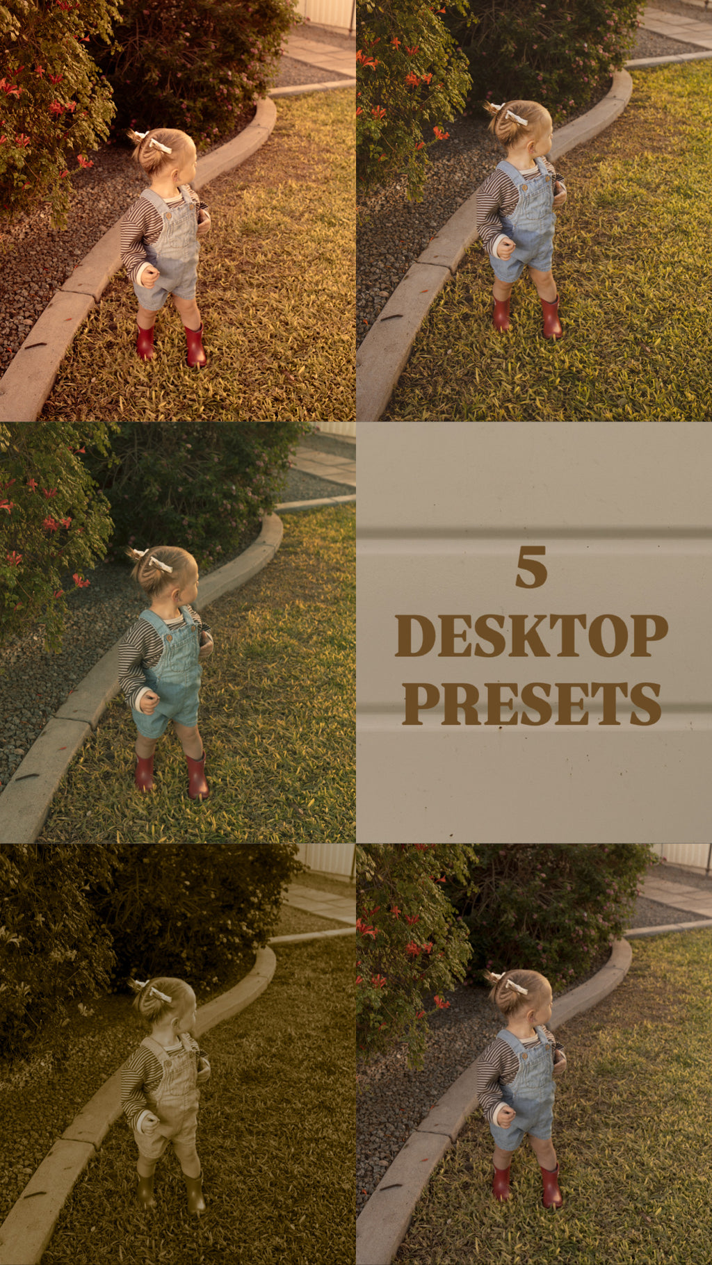 WILDSOLWORKSHOP DESKTOP PRESETS